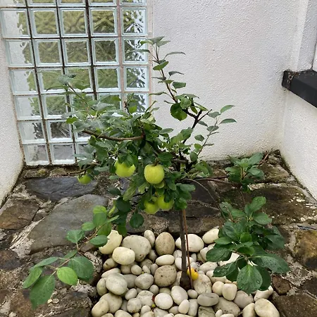 Feriehus Glenurla Valley *