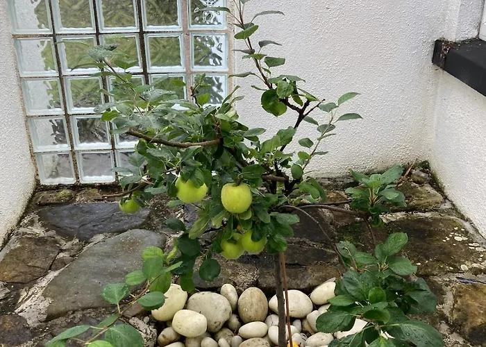 Nyaraló Glenurla Valley *